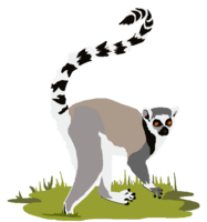 animals & Lemur free transparent png image.