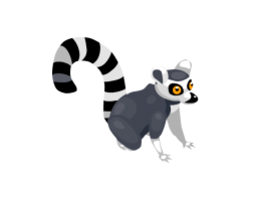 animals & Lemur free transparent png image.