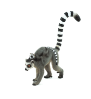 animals & lemur free transparent png image.