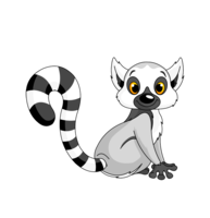 animals & Lemur free transparent png image.