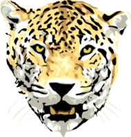 animals & leopard free transparent png image.