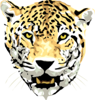 animals & Leopard free transparent png image.