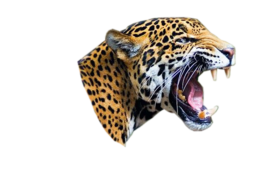 animals & leopard free transparent png image.