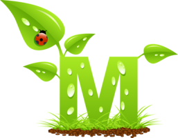 alphabet & M free transparent png image.