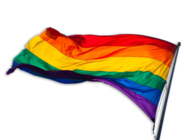 miscellaneous & lgbt free transparent png image.