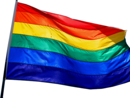 miscellaneous & LGBT free transparent png image.