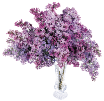 flowers & lilac free transparent png image.