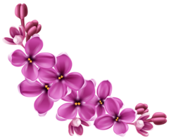 flowers & Lilac free transparent png image.