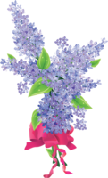 flowers & Lilac free transparent png image.