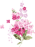 flowers & lilac free transparent png image.