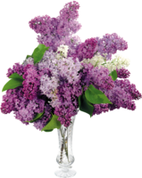 flowers & Lilac free transparent png image.