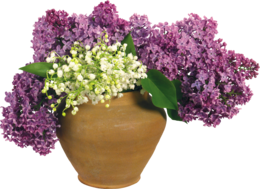 flowers & Lilac free transparent png image.