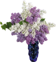 flowers & lilac free transparent png image.