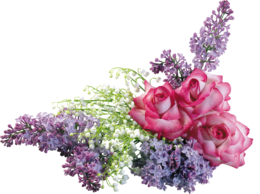 flowers & Lilac free transparent png image.