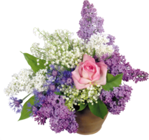 flowers & lilac free transparent png image.