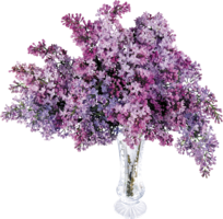 flowers & Lilac free transparent png image.