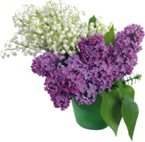 flowers & Lilac free transparent png image.