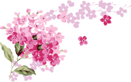 flowers & lilac free transparent png image.