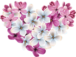 flowers & Lilac free transparent png image.