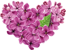 flowers & Lilac free transparent png image.