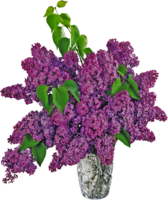 flowers & Lilac free transparent png image.