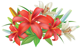 flowers & lilium free transparent png image.