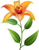 flowers & Lilium free transparent png image.