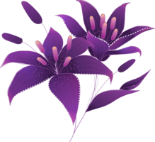 flowers & lilium free transparent png image.