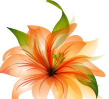 flowers & lilium free transparent png image.