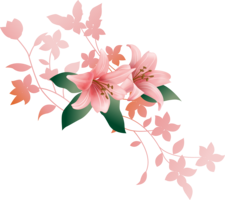 flowers & Lilium free transparent png image.