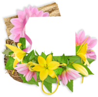 flowers & lilium free transparent png image.