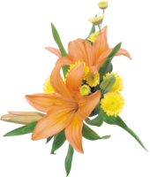 flowers & Lilium free transparent png image.