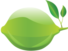 fruits & lime free transparent png image.