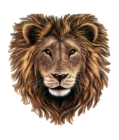 animals & lion free transparent png image.