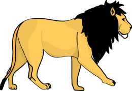 animals & Lion free transparent png image.