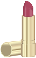 miscellaneous & lipstick free transparent png image.