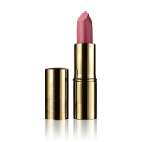 miscellaneous & lipstick free transparent png image.