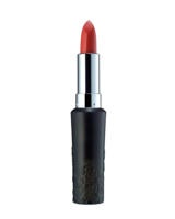 miscellaneous & lipstick free transparent png image.