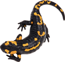 Lizard&animals png image