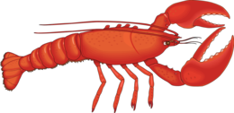 animals & Lobster free transparent png image.