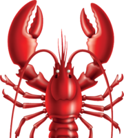 animals & Lobster free transparent png image.