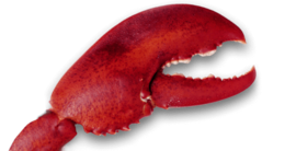 animals & lobster free transparent png image.