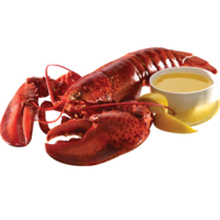 animals & Lobster free transparent png image.