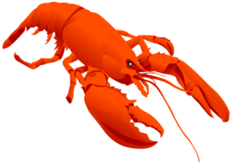 animals & Lobster free transparent png image.