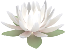 flowers & sacred lotus free transparent png image.