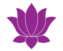 flowers & sacred lotus free transparent png image.