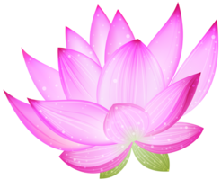 flowers & sacred lotus free transparent png image.