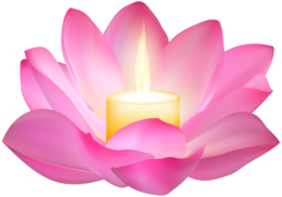 flowers & sacred lotus free transparent png image.