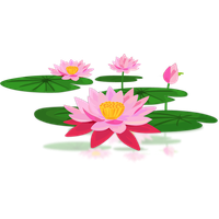 flowers & sacred lotus free transparent png image.