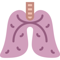 people & lung free transparent png image.